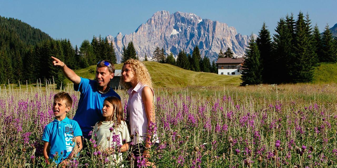 Casa Alpina Sacro Cuore Canale dʼAgordo Exteriör bild