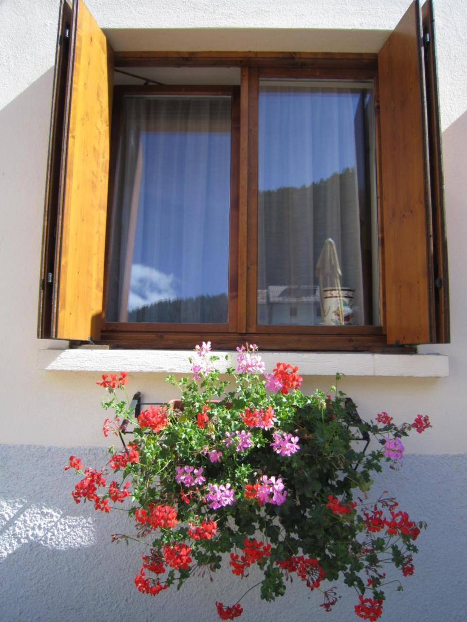 Casa Alpina Sacro Cuore Canale dʼAgordo Exteriör bild